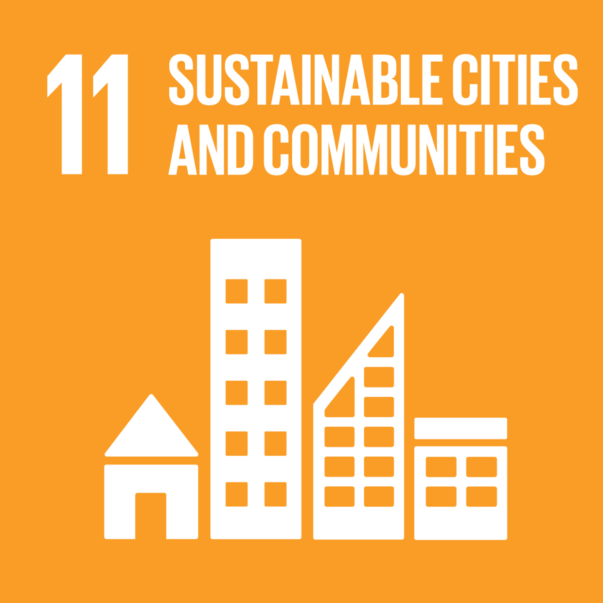 SDG Icon