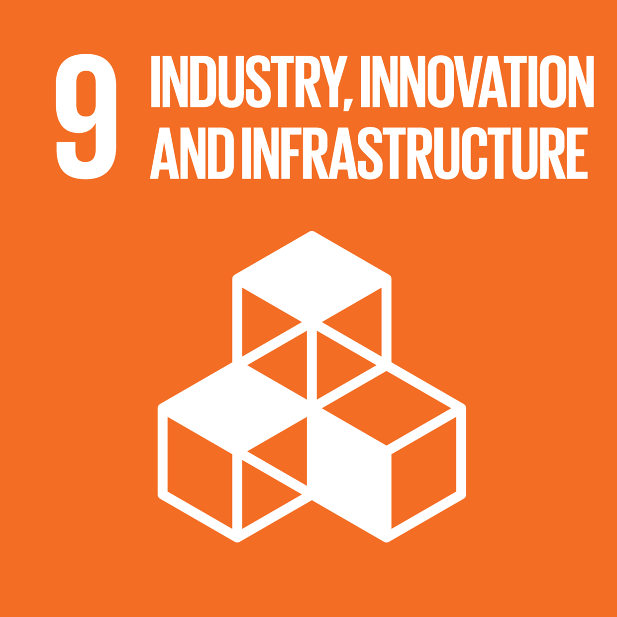 SDG Icon